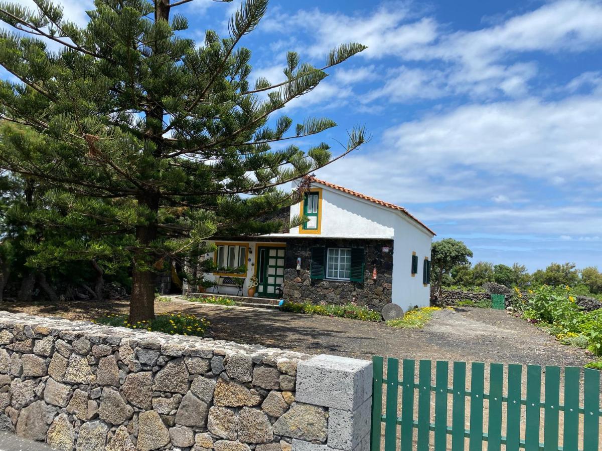 Casa Da Costa Villa Madalena  Exteriör bild