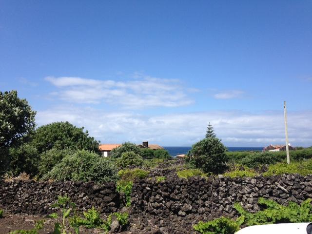 Casa Da Costa Villa Madalena  Exteriör bild